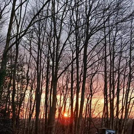 La Lisiere Du Bois Ferienhaus